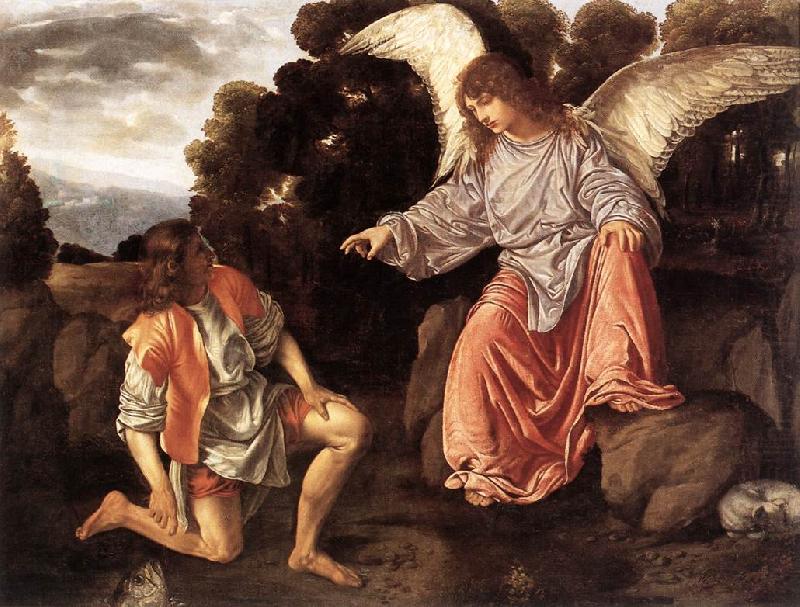 SAVOLDO, Giovanni Girolamo Tobias and the Angel sf china oil painting image